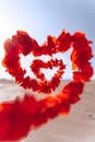 The Good and Bad Connection Between Love and Health. 2 Vivid heart-shaped garland of red petals against a bright desert backdrop.
