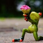 Future :5 Ways Love Enhances Your Health: A Deep Dive into the Connection Between Love and Well-Being
