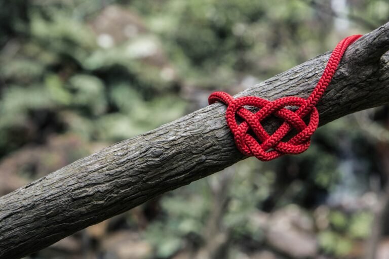 Love's Uncharted Territories: Where "Impossible" Surrenders.(Red Rope)