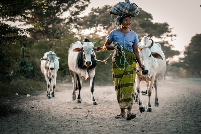 The Profound Connection Between Love and Health: 2025 Insights for a Healthier Life,Profound Connection,Love and Health,emotional connections,healthier life,mental health,(cows, woman, female, happy, outdoor, agriculture, animals, nature, mammals, countryside, simple life, cows, cows, cows, cows, cows, agriculture, agriculture, simple life, simple life, simple life)
