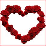 Celebrating Love Beyond Roses: A Reflection on Valentine's Day. Love and Health. Romantic love,