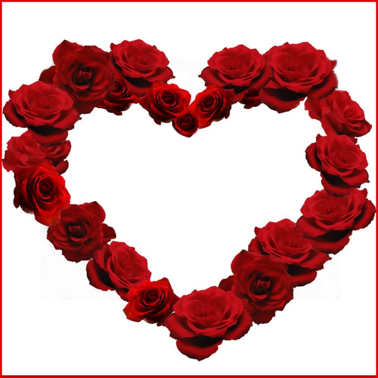 Celebrating Love Beyond Roses: A Reflection on Valentine's Day. Love and Health. Romantic love,