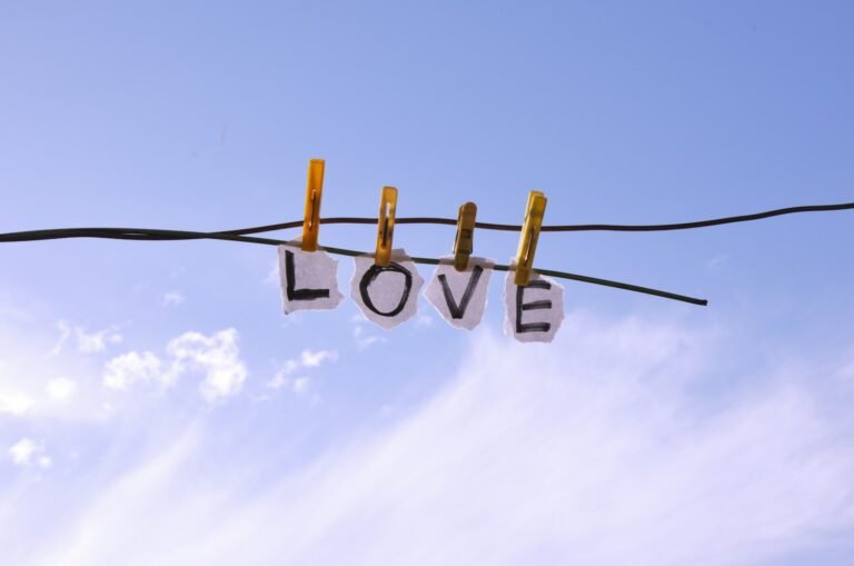 Love's Equilibrium: Cultivating Balanced Relationships for Lasting Well-being. a couple of clothes hanging from a clothes line