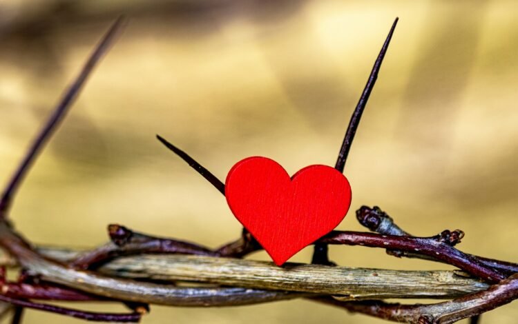 How to Balance Love, Relationship, and Health – Part 2 . A red heart sitting on top of a barbed wire