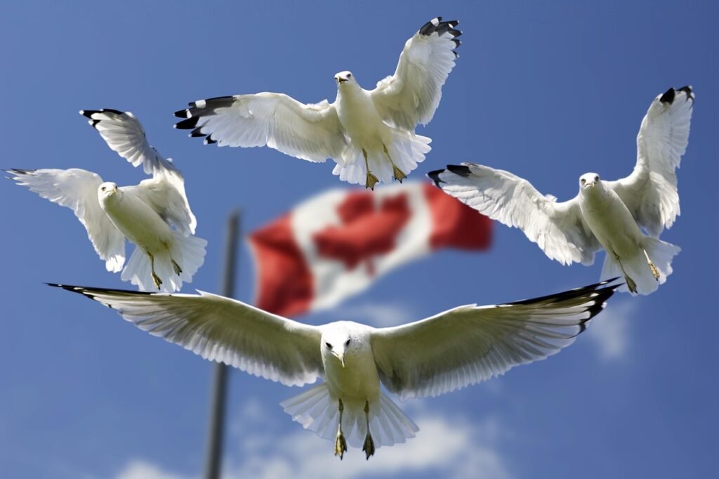 Love and health Part 3: Strengthening Love, Relationship, and Health in Canadian Life.emotional wellness strategies for Canadian couples